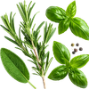 Fresh green herbs including rosemary sprigs, flat-leaf basil leaves, and a few whole black peppercorns on a white background.