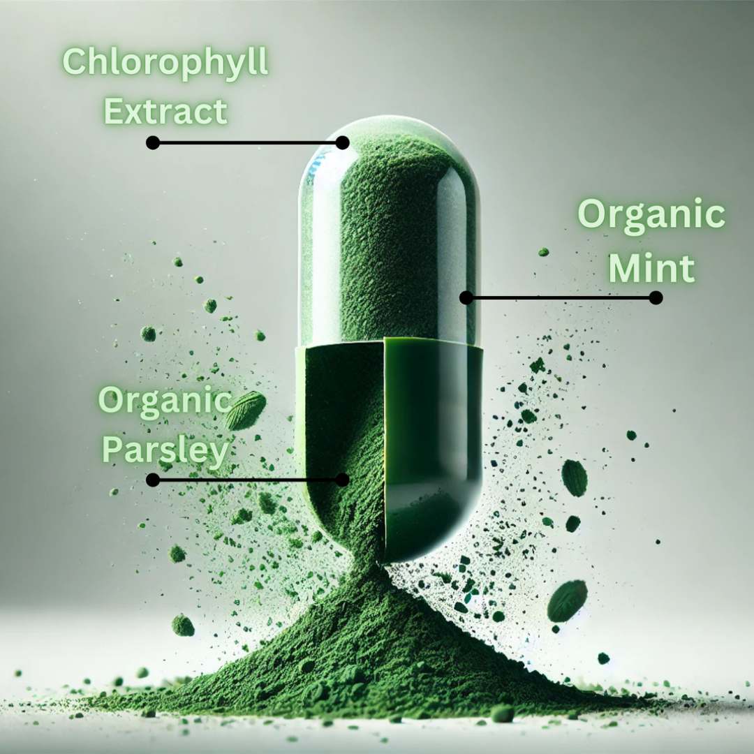 Green capsule with labeled ingredients on a gray background