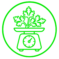 Green line icon of a scale with leafy greens on top, enclosed in a circular border on a white background.