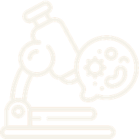 Neon sign of a crown on a white background