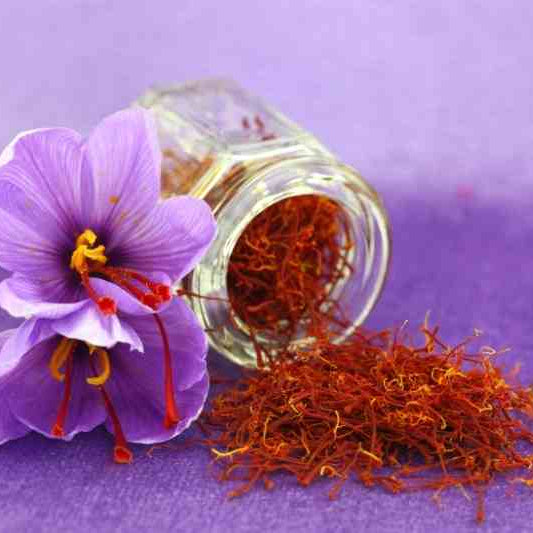 saffron flower with a jar behind full of saffron