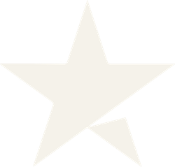 star icon in white colour
